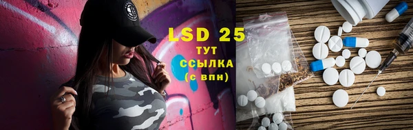 PSILOCYBIN Гусь-Хрустальный