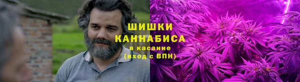 PSILOCYBIN Гусь-Хрустальный