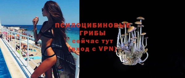 ECSTASY Гусев