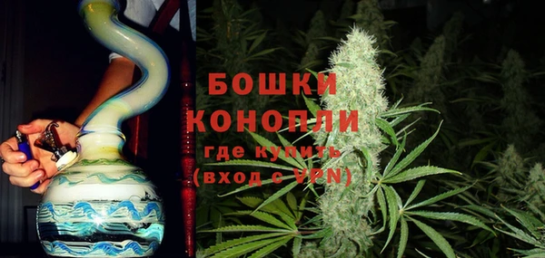 PSILOCYBIN Гусь-Хрустальный
