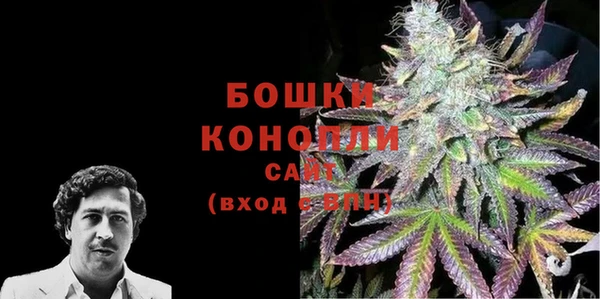 ECSTASY Гусев