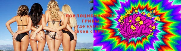PSILOCYBIN Гусь-Хрустальный