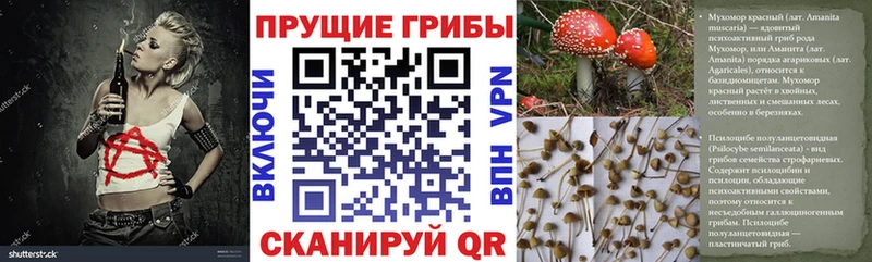 Галлюциногенные грибы GOLDEN TEACHER  Зеленокумск 