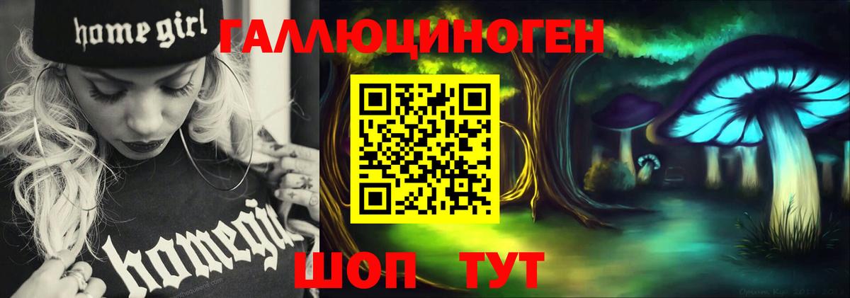 Галлюциногенные грибы GOLDEN TEACHER Зеленокумск